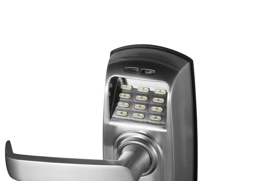 Digital Fingerprint Keyless Lock and Pin Code Unlock로 여러분의 가정 보안을 업그레이드하세요
