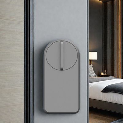 작은 캐비닛 스마트 엔트리 잠금 Tuya Ttlock 앱 회색 1 년 배터리 사용 시간