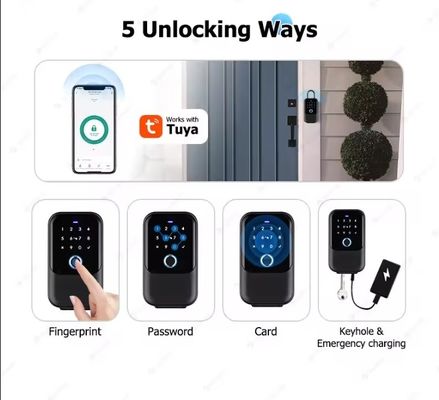 IP65 방수 투야 야외 스마트 잠금