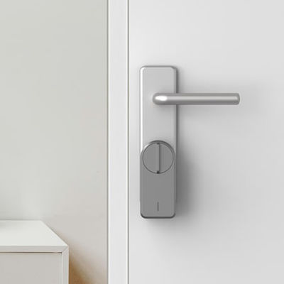 회색 Tuya Ttlock App 자동 디지털 RFID 카드 유로 실린더 잠금 회색 전자 스마트 도어 잠금