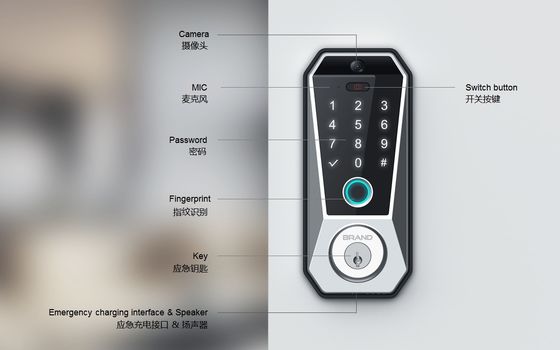 Tuya WIFI 디지털 스마트 도어 잠금 메모리 카드 데이터 저장 및 지문 액세스