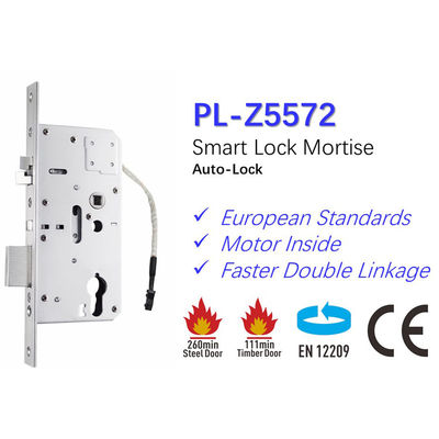레벨 보안 CE 인증 및 방수 설계와 함께 전기 잠금 Polymath Z5572