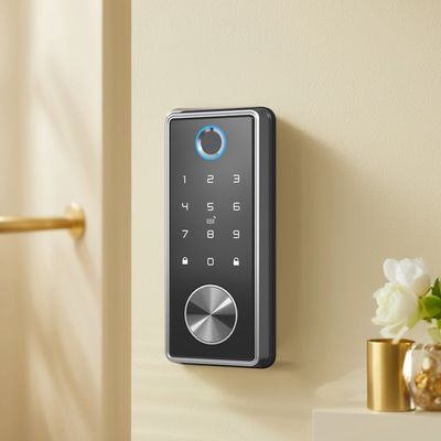 지문 인식 및 BLE WIFI와 함께 전자 디지털 키 없는 스마트 도어 잠금