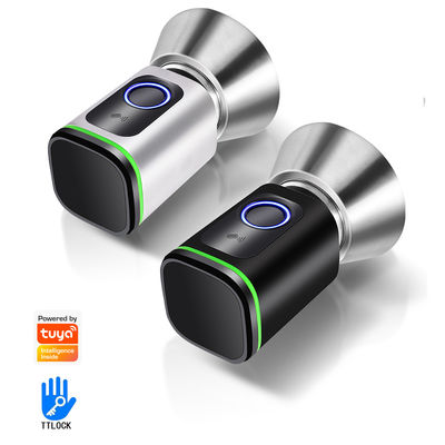 TUYA WiFi BLE 스마트 침실 문 잠금 실린더와 메모리 카드로 집을 보호하세요