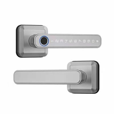 스마트 와이파이 네트워크 TTlock 활성화 Tuya 발자국 문 잠금 암호 잠금 해제 방법
