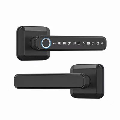 애플리케이션 잠금 해제 홈 호텔 아파트에 대한 높은 보안 전자 문 잠금 158mm*63mm*61mm