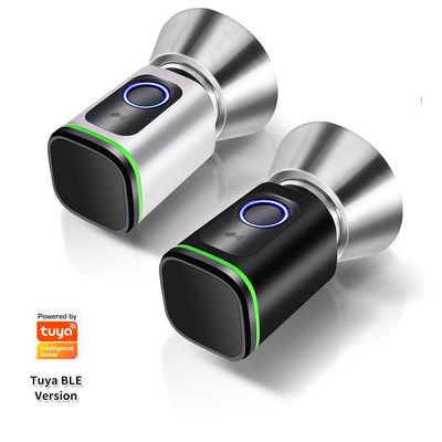 블랙 실버 비밀번호 TUYA APP 데드볼트 문 잠금 와이파이 네트워크 리더 크기 42*42mm
