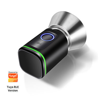 블랙 실버 비밀번호 TUYA APP 데드볼트 문 잠금 와이파이 네트워크 리더 크기 42*42mm