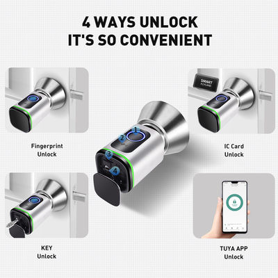 블랙 실버 비밀번호 TUYA APP 데드볼트 문 잠금 와이파이 네트워크 리더 크기 42*42mm