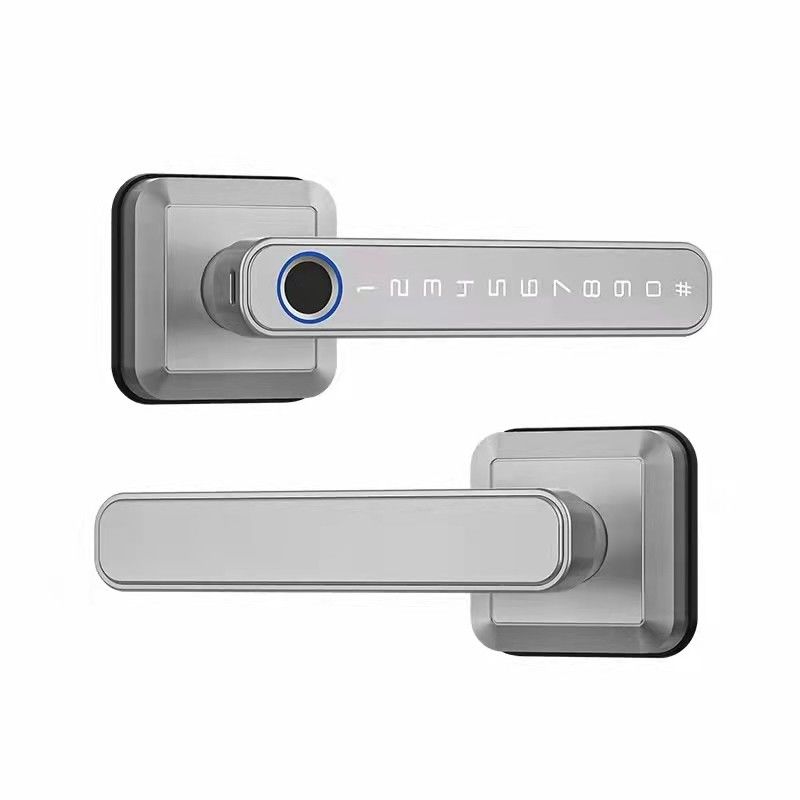 스마트 와이파이 네트워크 TTlock 활성화 Tuya 발자국 문 잠금 암호 잠금 해제 방법