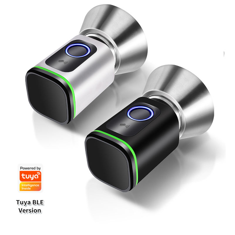 블랙 실버 비밀번호 TUYA APP 데드볼트 문 잠금 와이파이 네트워크 리더 크기 42*42mm